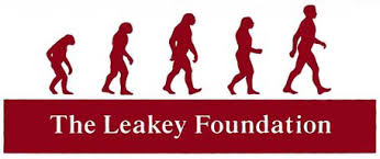 Leakey Foundation Research Grants 2024 in the USA